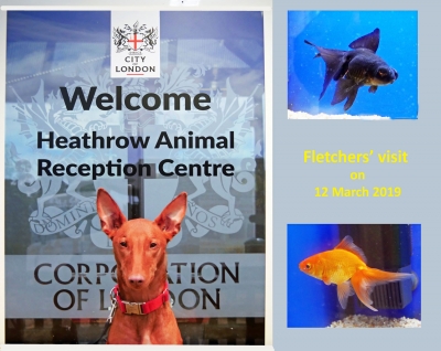 Heathrow Animal Reception Centre 2019