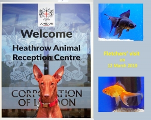 Heathrow Animal Reception Centre 2019